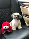Travelling with Puppies: A Vet-Approved Guide to Safe Journeys