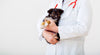 Vaccinations in dogs