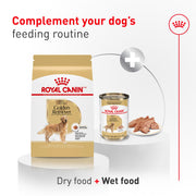 ROYAL CANIN® Golden Retriever Adult Dry Dog Food