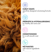 DotDotPet Curly Coat Shampoo