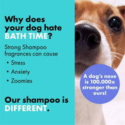 DotDotPet Curly Coat Shampoo
