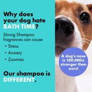 DotDotPet Battersea Volumising Curly Coat Shampoo