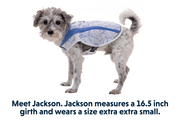 Ruffwear Swamp Cooler Dog Cooling Vest Heliotrope Purple