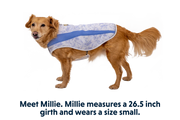 Ruffwear Swamp Cooler Dog Cooling Vest Heliotrope Purple
