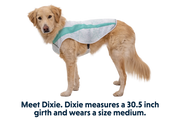 Ruffwear Swamp Cooler Dog Cooling Vest Sage Green