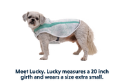 Ruffwear Swamp Cooler Dog Cooling Vest Sage Green