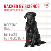ROYAL CANIN® Digestion Soft Chews Supplements for Dogs