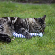 Rosewood Battersea Catnip Kicker Fish (Stripe)