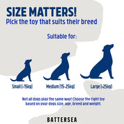 Rosewood Battersea Rubber Ball Animals Dog Toy 2 Pack