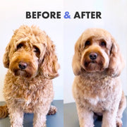 DotDotPet Battersea Volumising Curly Coat Shampoo