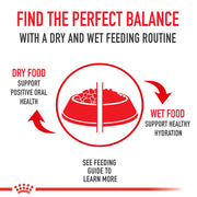 ROYAL CANIN® Boxer Adult Dry Dog Food