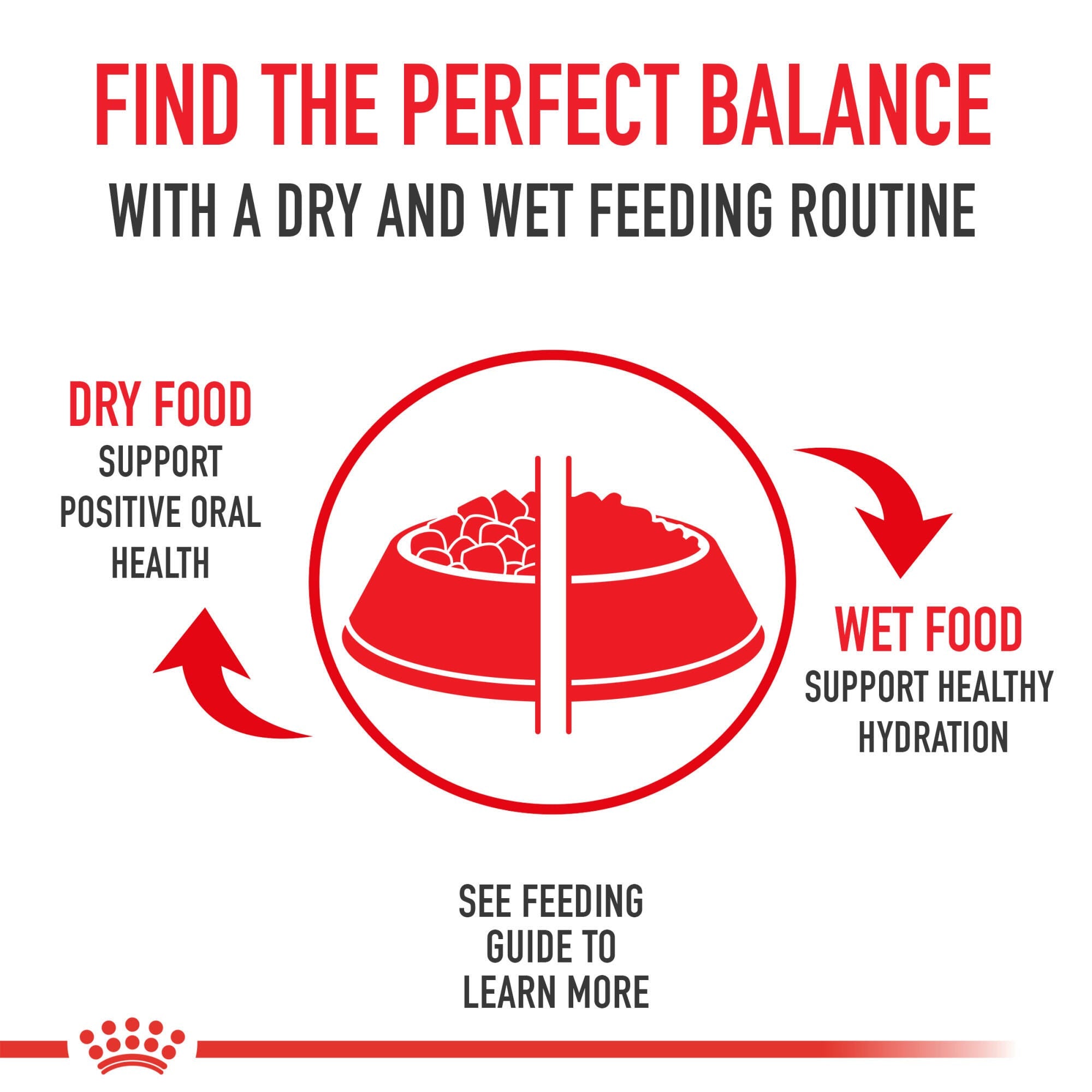 ROYAL CANIN® Persian Kitten Food