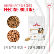 ROYAL CANIN® Skin and Coat Soft Chews Supplements for Dogs