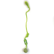 Happy Pet Tabby Patch Pea Pod Cat Bungee