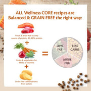 Wellness Core Sterilised Adult Salmon Dry Cat Food