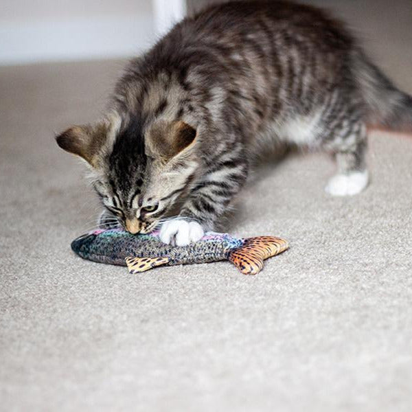 Rosewood 100% Natural Catnip Trout