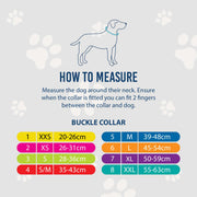 Ancol Timberwolf Leather Dog Collar