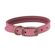 Ancol Timberwolf Leather Dog Collar