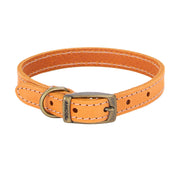 Ancol Timberwolf Leather Dog Collar