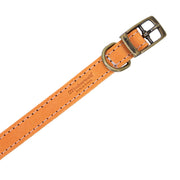 Ancol Timberwolf Leather Dog Collar