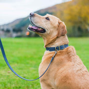 Ancol Timberwolf Leather Dog Lead 1m x 19mm