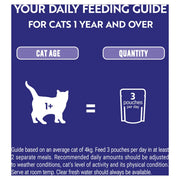PURINA® ONE Mini Fillets Mixed Selection in Gravy Wet Cat Food
