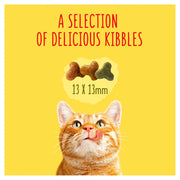 Go-Cat Senior Chicken Dry Cat Food