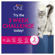 PURINA® ONE Mini Fillets Mixed Selection in Gravy Wet Cat Food