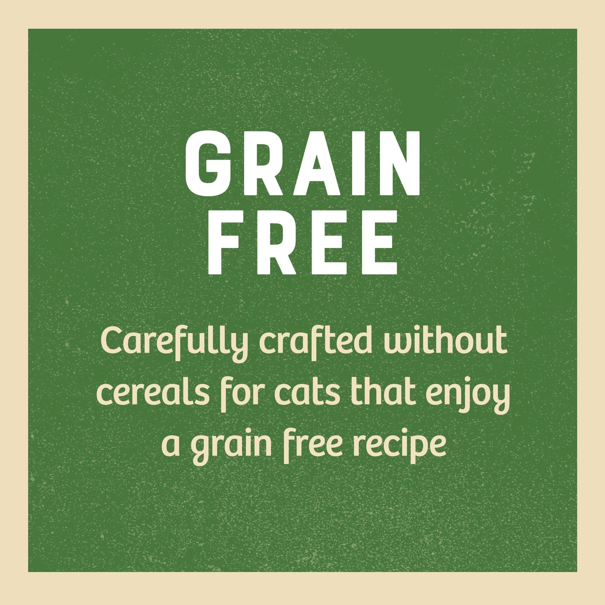 James Wellbeloved Senior Cat Grain Free Pouches in Jelly