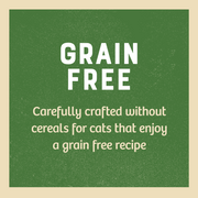 James Wellbeloved Grain Free Adult Cat Wet Food Turkey in Gravy