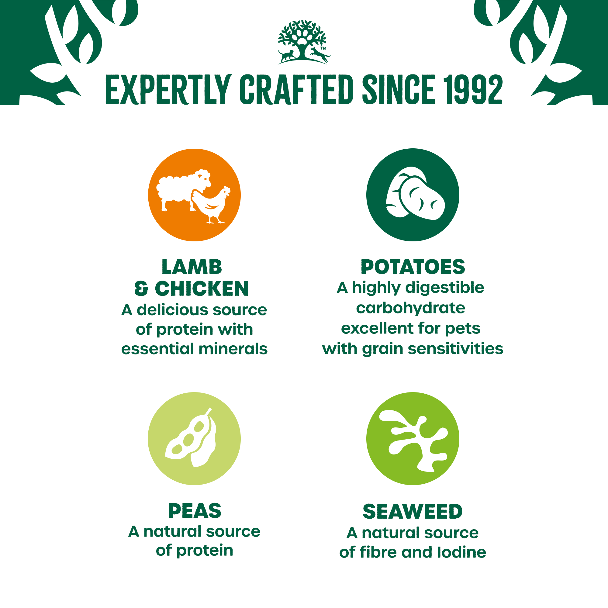 James Wellbeloved Grain Free Adult Dog Wet Food Lamb and Chicken in Gravy