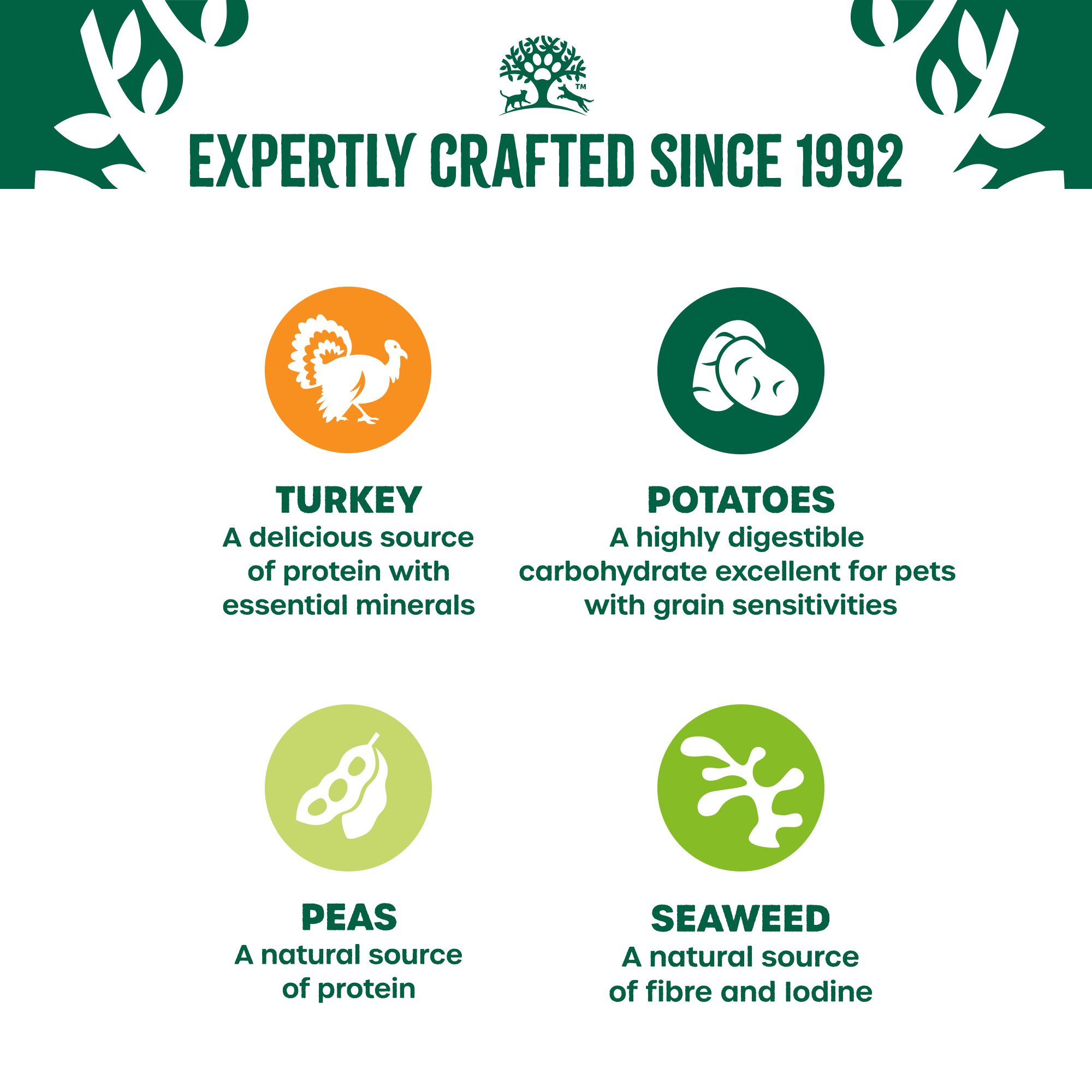 James Wellbeloved Grain Free Puppy Wet Food Turkey in Gravy