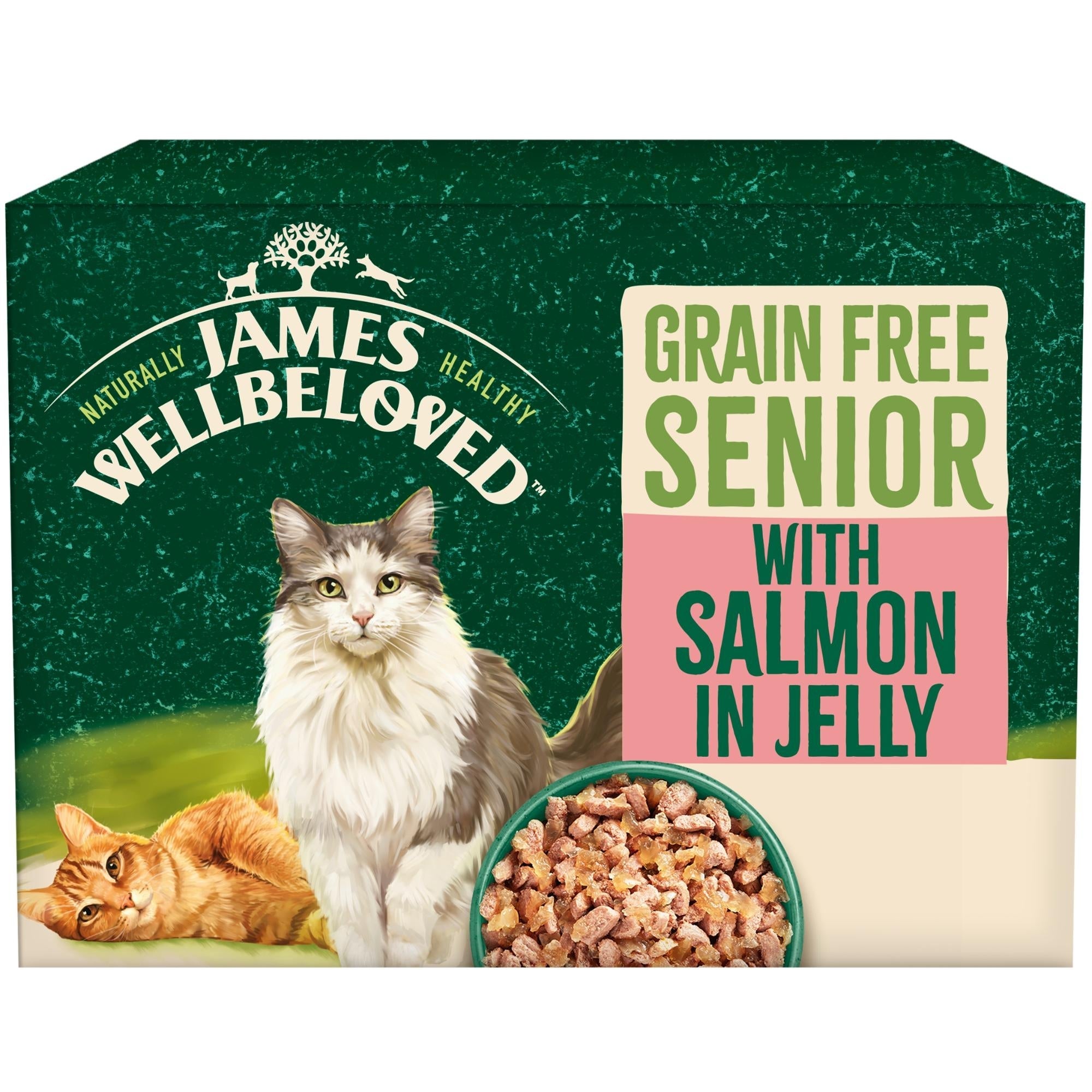 James Wellbeloved Grain Free Senior Cat with Salmon in Jelly Pouches