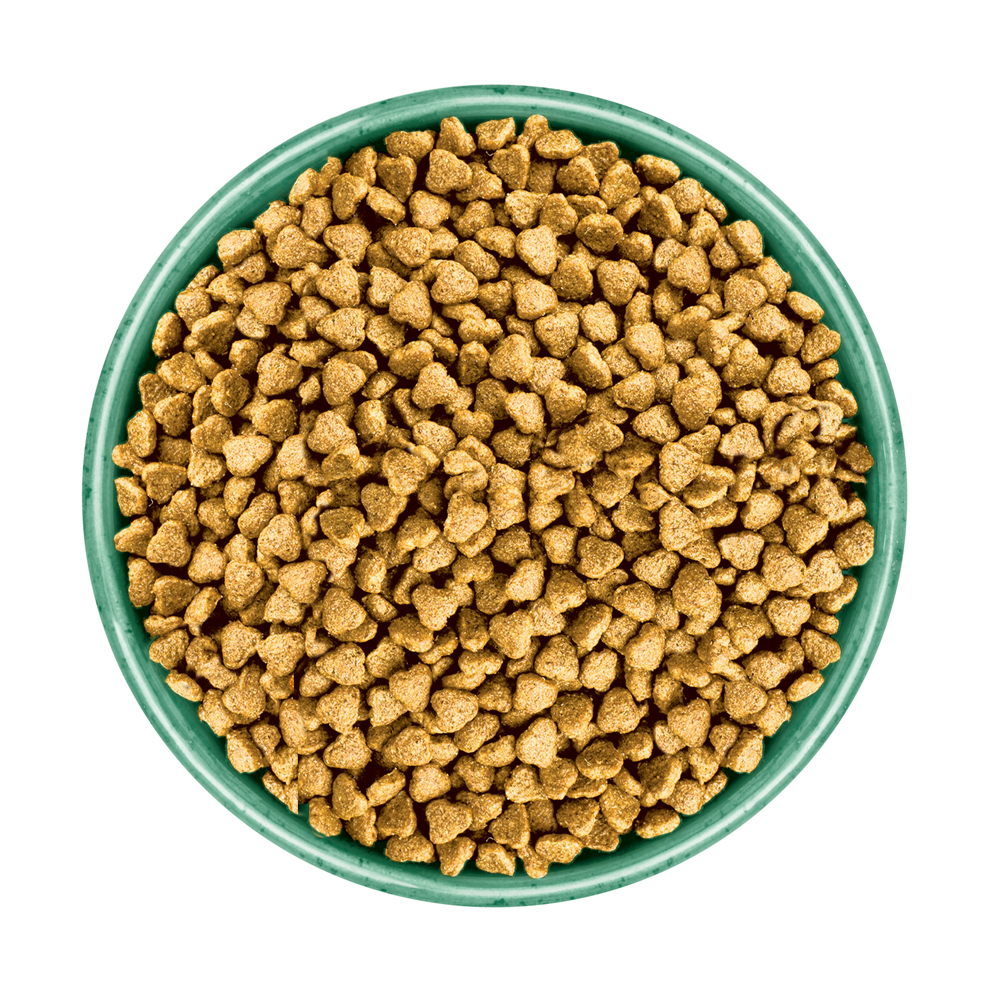 James Wellbeloved Grain Free Puppy Lamb and Chicken in Gravy Pouches