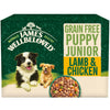 James Wellbeloved Puppy Lamb and Chicken in Gravy Pouches