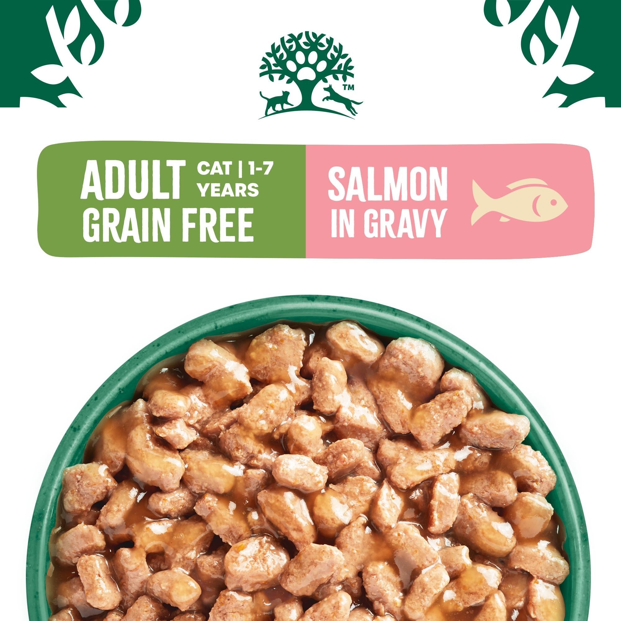 James Wellbeloved Grain Free Adult Cat with Salmon in Gravy Pouches