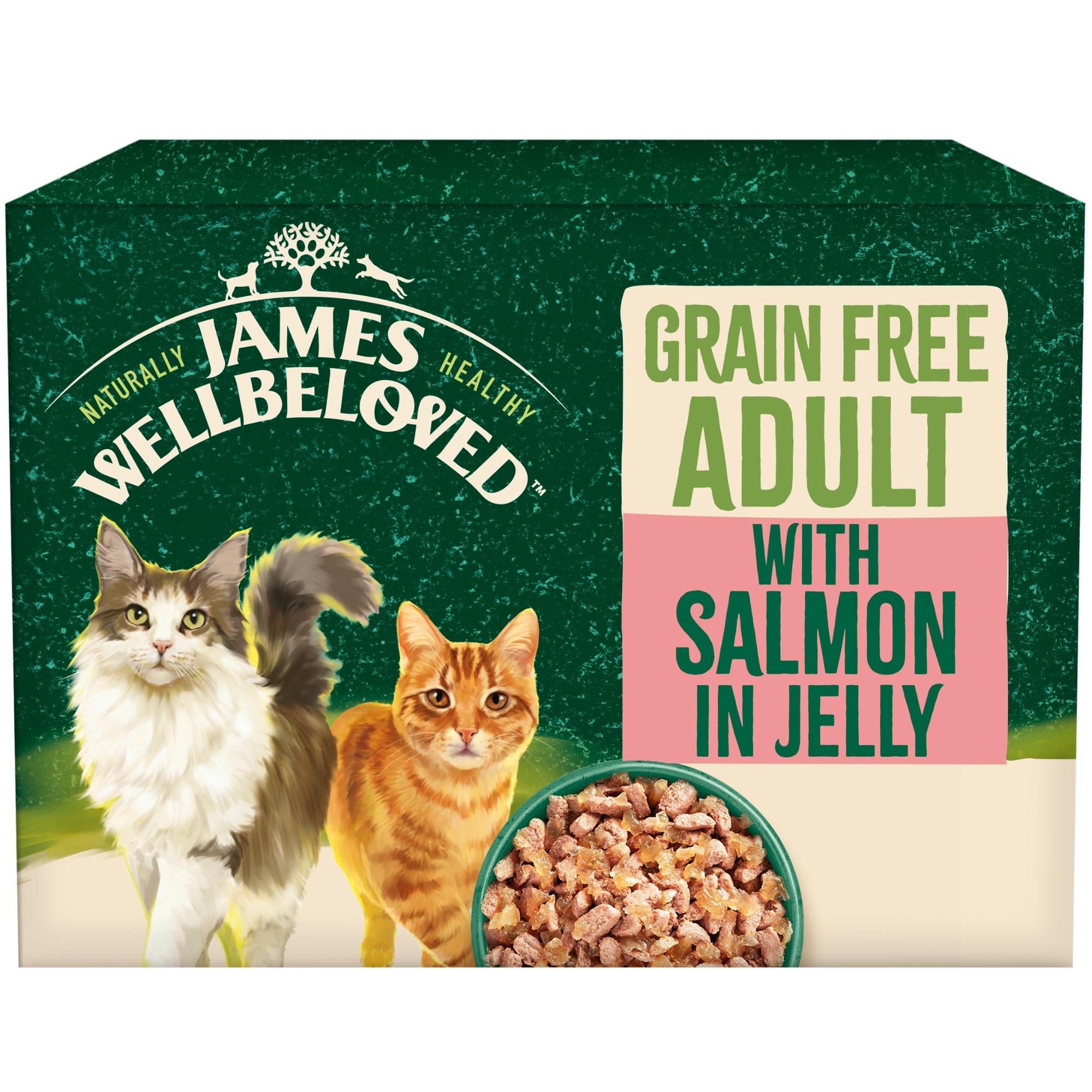 James Wellbeloved Grain Free Adult Cat with Salmon in Jelly Pouches
