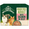 James Wellbeloved Grain Free Adult Cat with Salmon in Jelly Pouches