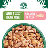 James Wellbeloved Grain Free Adult Cat with Salmon in Jelly Pouches