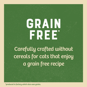 James Wellbeloved Grain Free Kitten Turkey in Gravy Pouches
