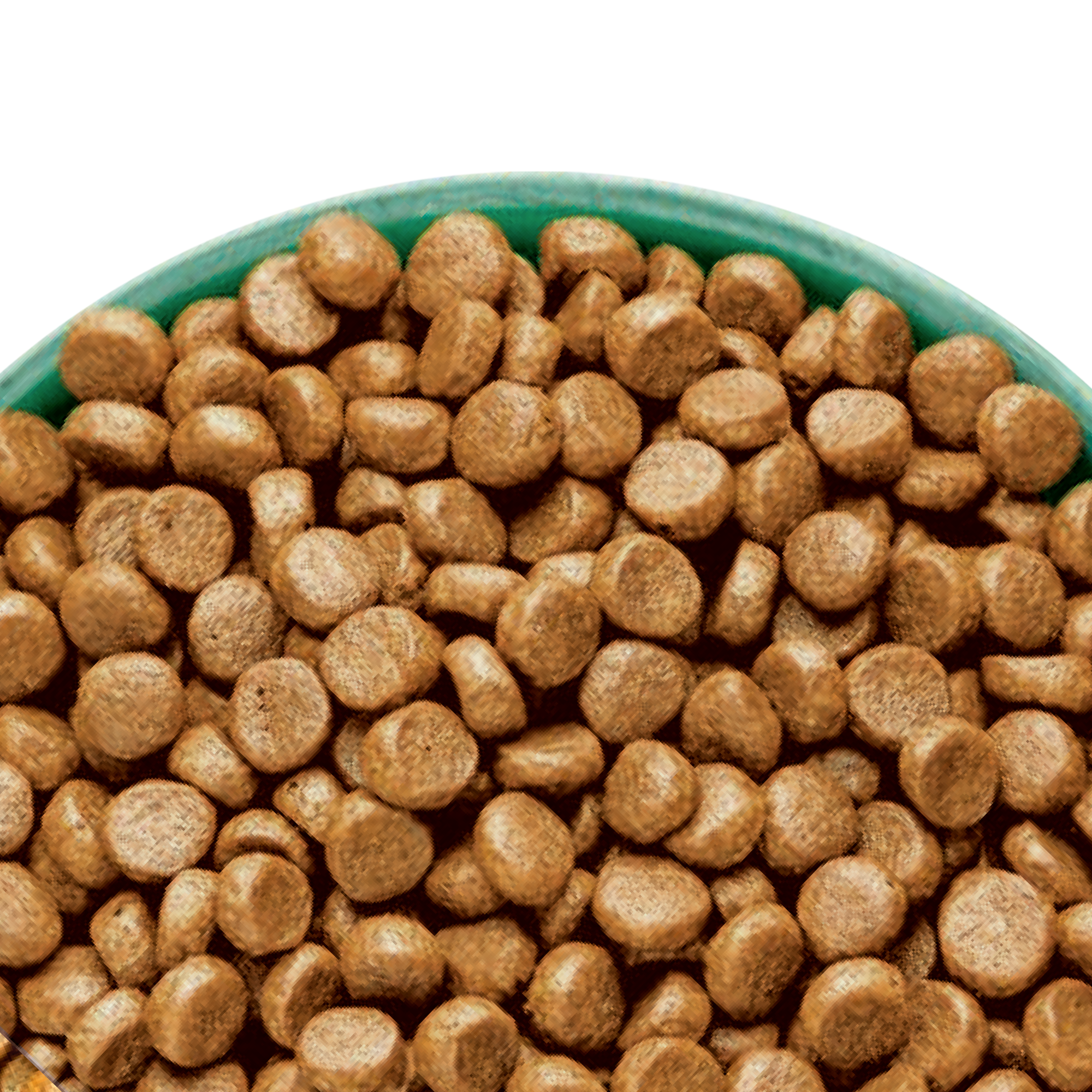 James Wellbeloved High Protein Chicken and Turkey Adult Dog Food