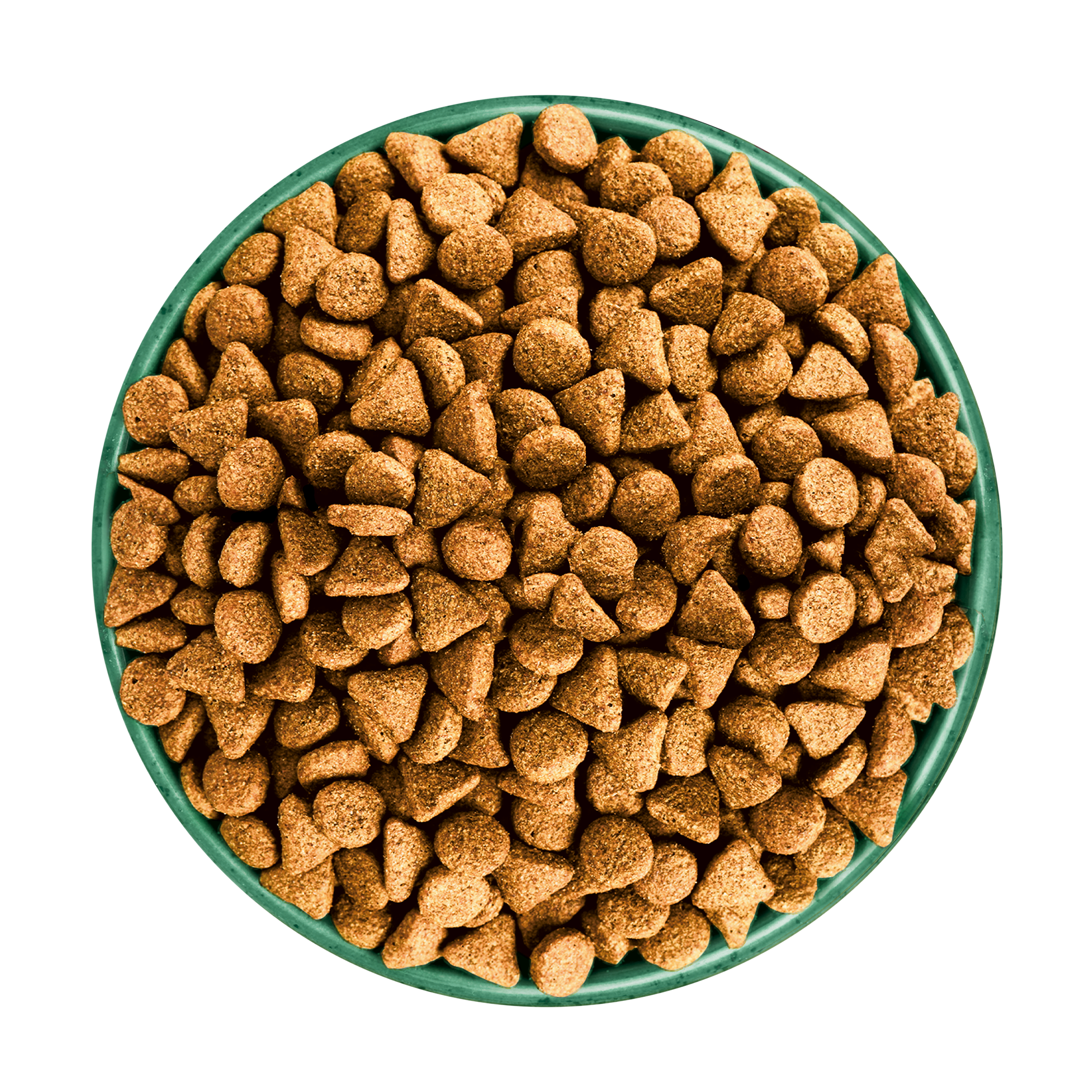 James Wellbeloved Superfoods Adult Dog Dry Food Turkey with Kale and Quinoa
