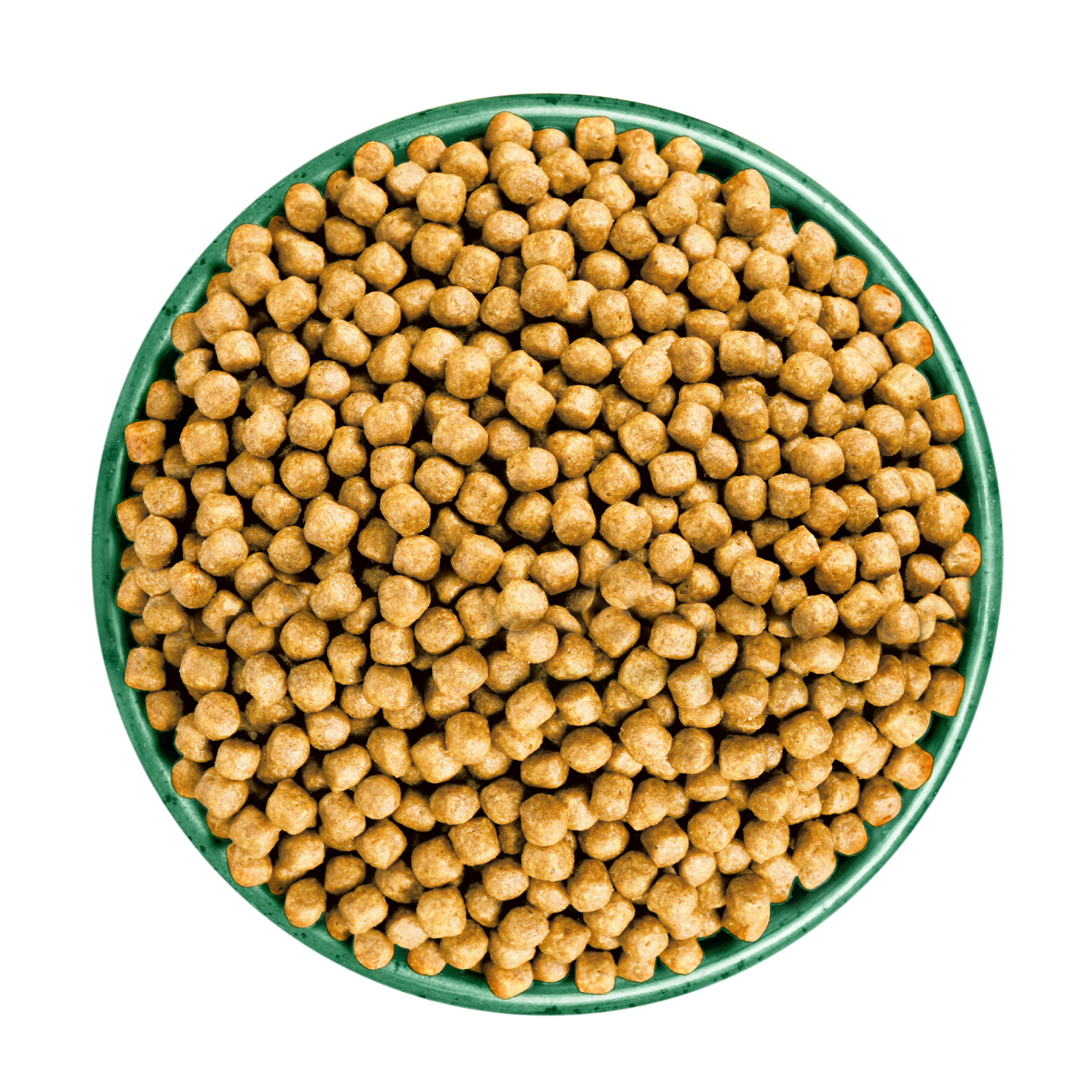 James Wellbeloved Rich in Turkey Kitten Dry Food