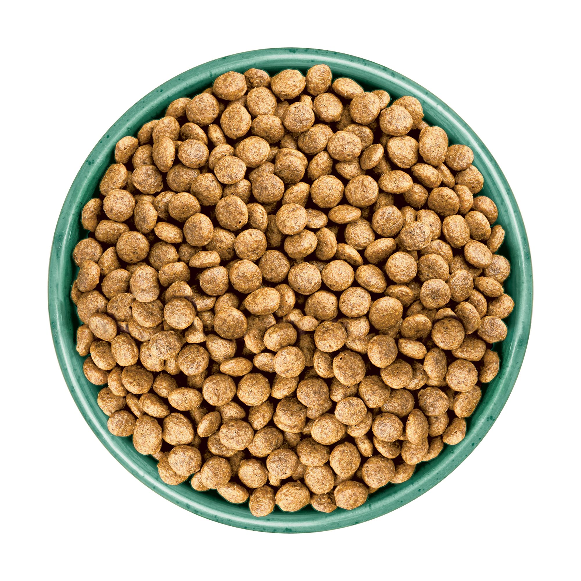James Wellbeloved Grain Free Rich in Turkey and Vegetable Puppy/Junior Dry Dog Food