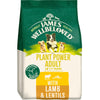 James Wellbeloved Adult Dog Food Plant Power with Lamb