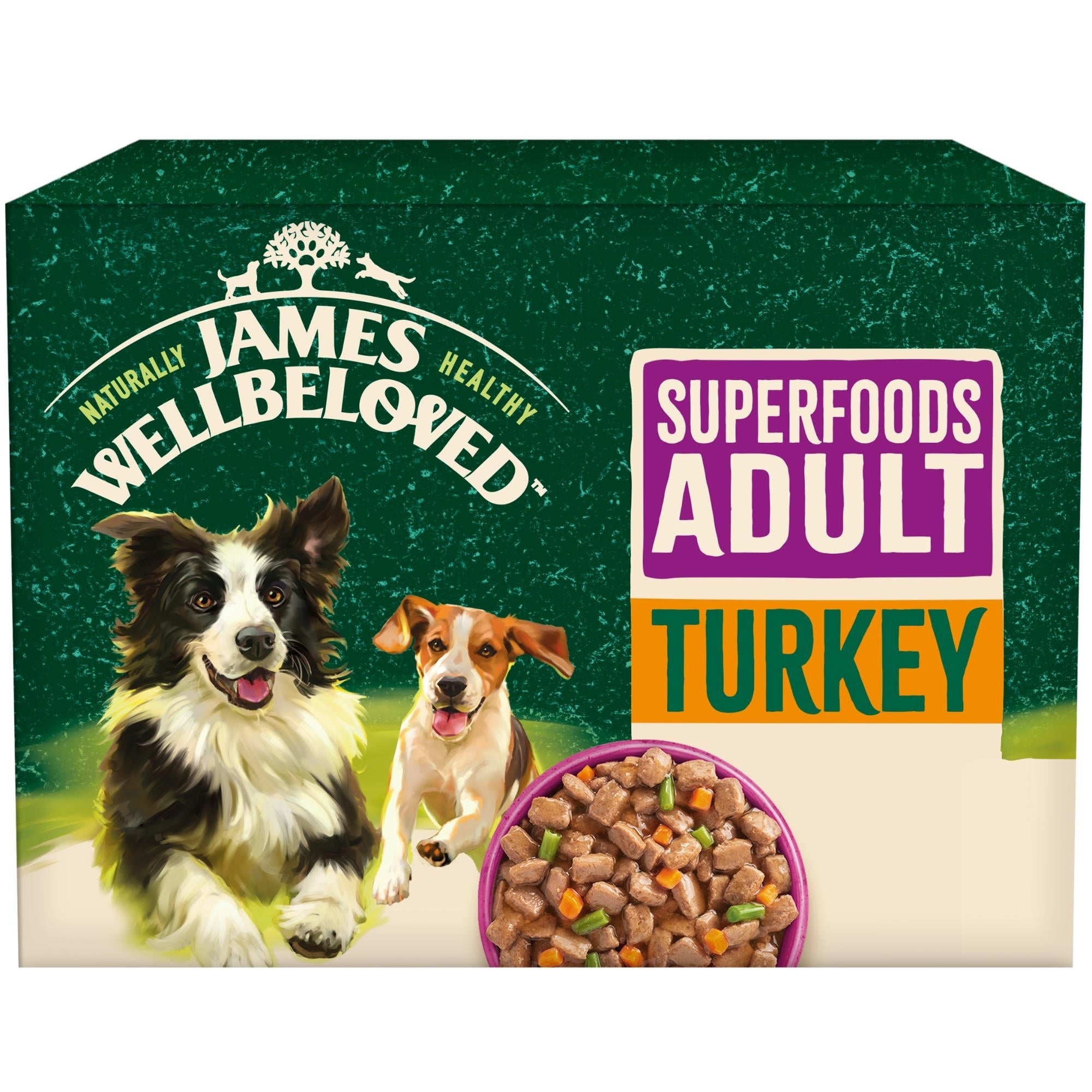 James Wellbeloved Superfood Turkey in Gravy Pouches Adult Wet Dog Food
