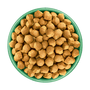 James Wellbeloved Rich in Turkey and Rice Junior Large Breed Dry Dog Food