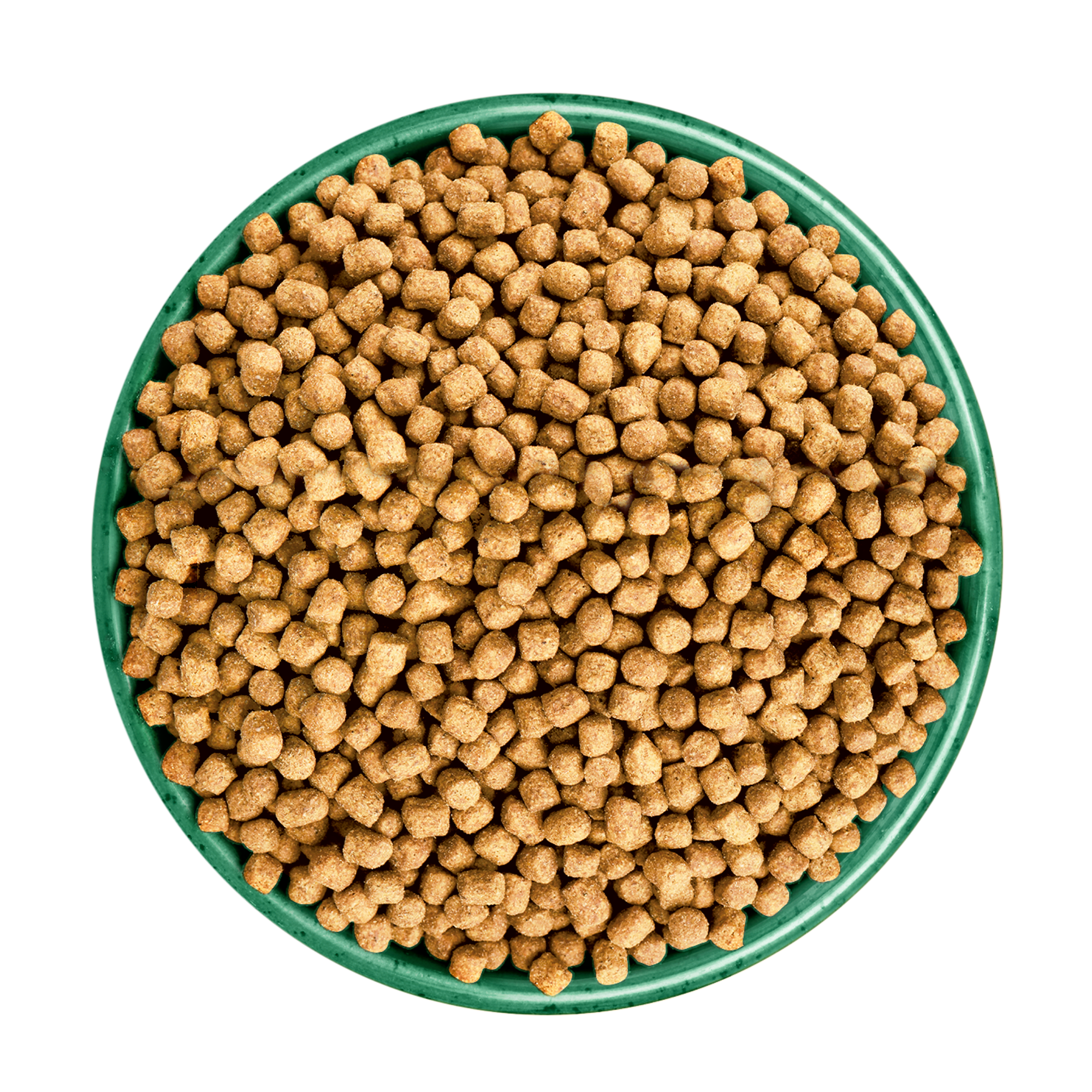 James Wellbeloved Rich in Fish Light Recipe Adult Dry Cat Food