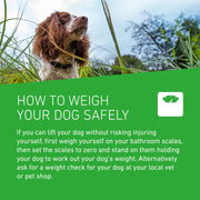 FRONTLINE Plus Flea and Tick Treatment for Dogs
