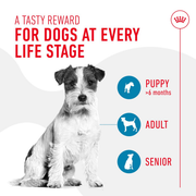 ROYAL CANIN® Training Treats for Dogs